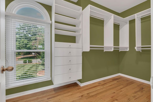 2005 Dunedin Cv, Old Hickory, TN 37138 - spacious closet with wood finished floors