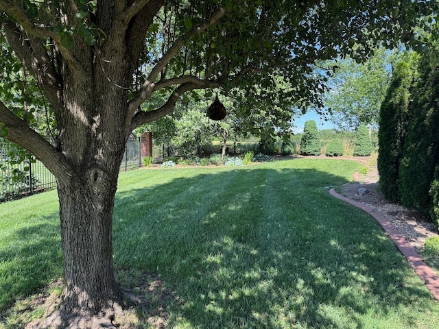 2005 Dunedin Cv, Old Hickory, TN 37138 - view of yard