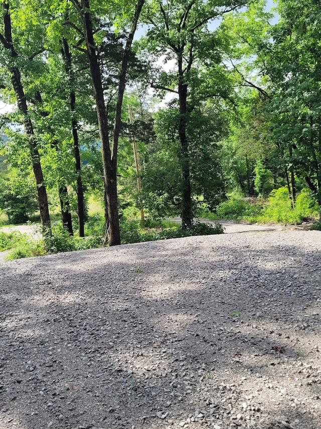 0 Davis Ln, Cowan, TN 37318