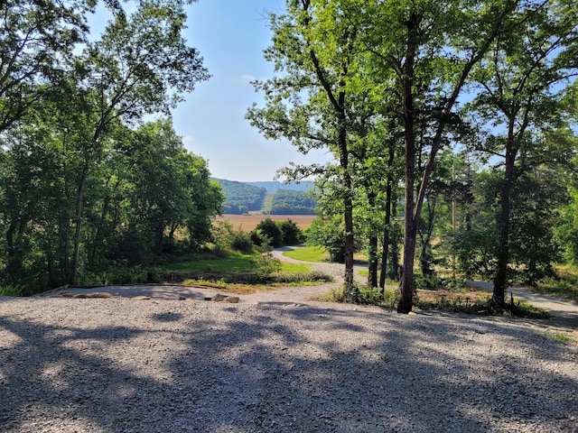 0 Davis Ln, Cowan, TN 37318