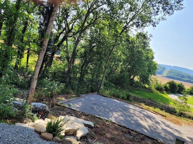 0 Davis Ln, Cowan, TN 37318