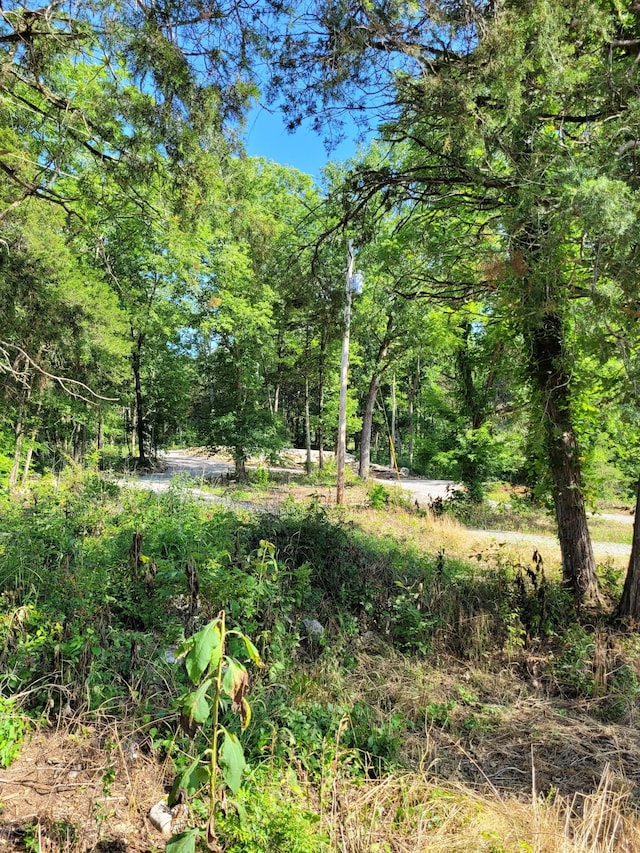 0 Davis Ln, Cowan, TN 37318