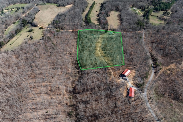 6720 Parker Rd, Lyles, TN 37098 - aerial view of property's location with property parcel outlined