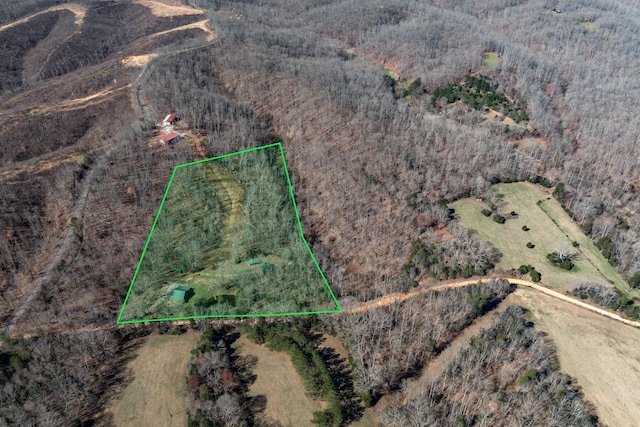 6720 Parker Rd, Lyles, TN 37098 - aerial view of property's location featuring property boundaries highlighted