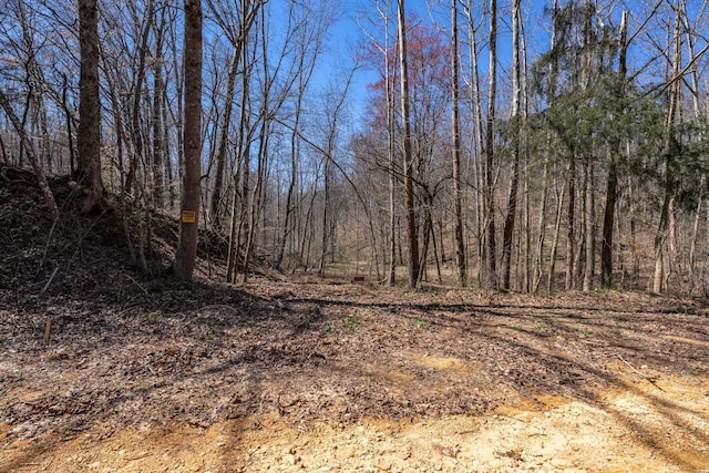 6720 Parker Rd, Lyles, TN 37098 - view of tree filled area