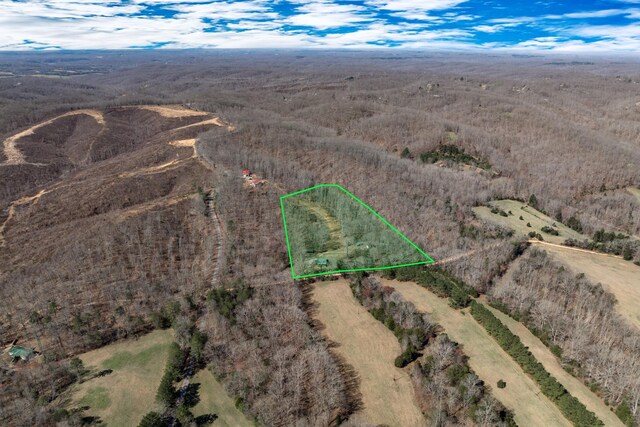 6720 Parker Rd, Lyles, TN 37098 - aerial view of sparsely populated area featuring property boundaries highlighted