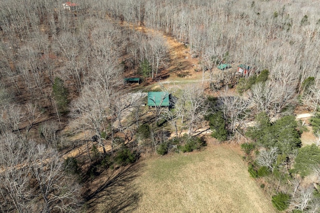 6720 Parker Rd, Lyles, TN 37098 - aerial view