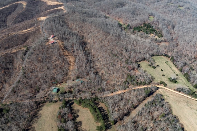 6720 Parker Rd, Lyles, TN 37098 - view of property location with rural landscape and property parcel outlined