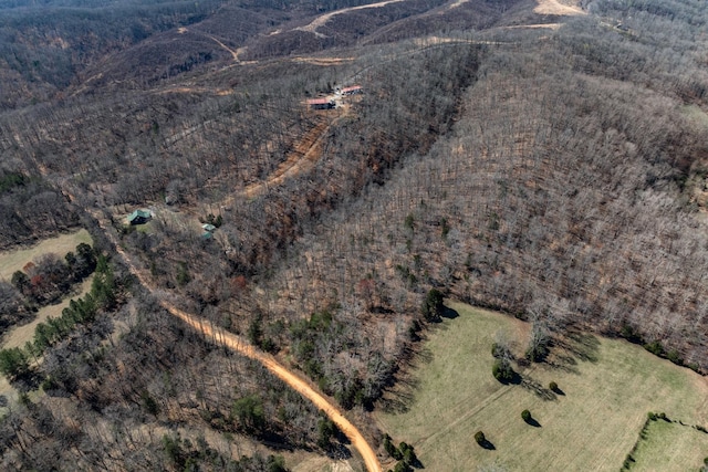 6720 Parker Rd, Lyles, TN 37098 - view of property location featuring mountains