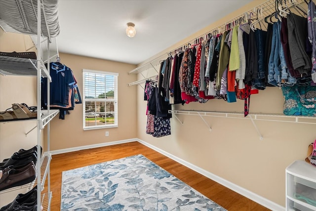 4055 Williford Way, Spring Hill, TN 37174 - spacious closet with wood finished floors