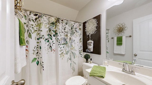 3632 Stormy Ln, Rockvale, TN 37153 - bathroom with vanity, toilet, and curtained shower