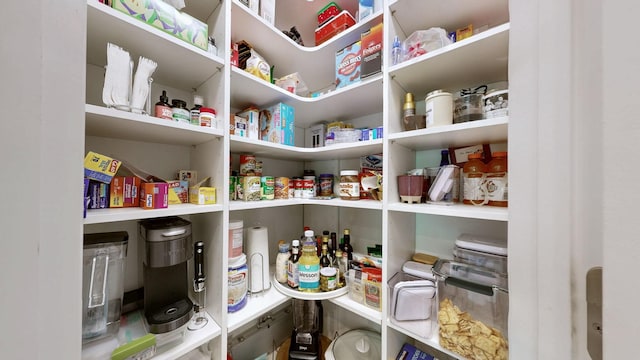 3632 Stormy Ln, Rockvale, TN 37153 - view of pantry