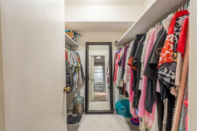 711 Hurricane Hill Dr, Waynesboro, TN 38485 - view of walk in closet