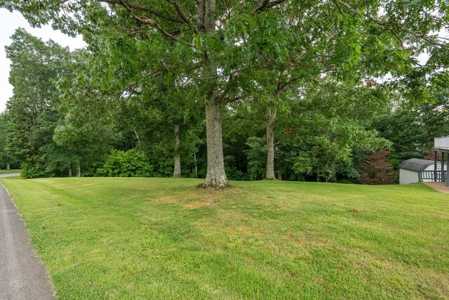 711 Hurricane Hill Dr, Waynesboro, TN 38485 - view of green lawn with an outdoor structure