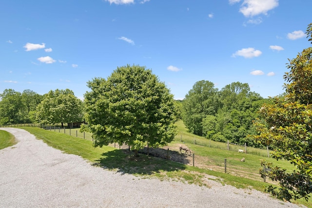 6795 Leipers Creek Rd, Columbia, TN 38401 - view of road featuring a view of rural / pastoral area