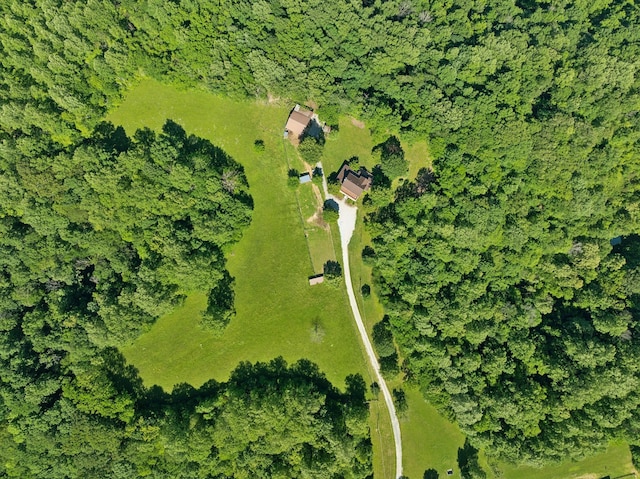 6795 Leipers Creek Rd, Columbia, TN 38401 - aerial view of property's location