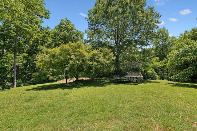 6795 Leipers Creek Rd, Columbia, TN 38401 - view of green lawn featuring a trampoline