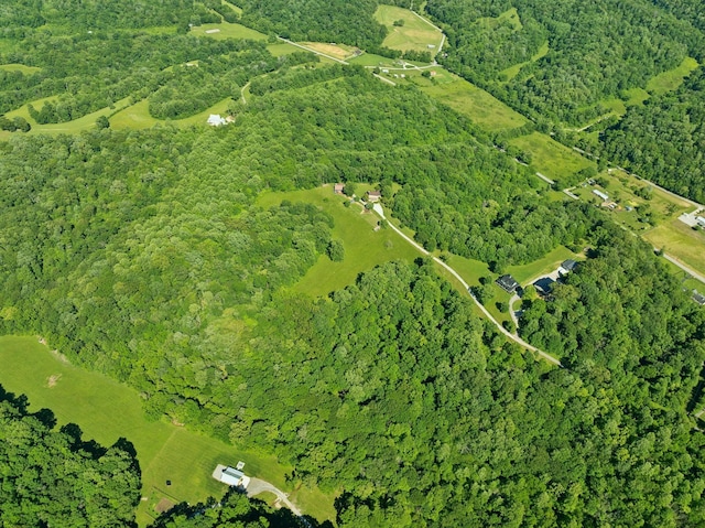 6795 Leipers Creek Rd, Columbia, TN 38401 - aerial overview of property's location featuring a forest