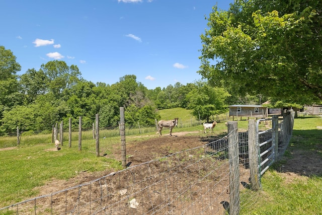 6795 Leipers Creek Rd, Columbia, TN 38401 - view of yard featuring a view of rural / pastoral area