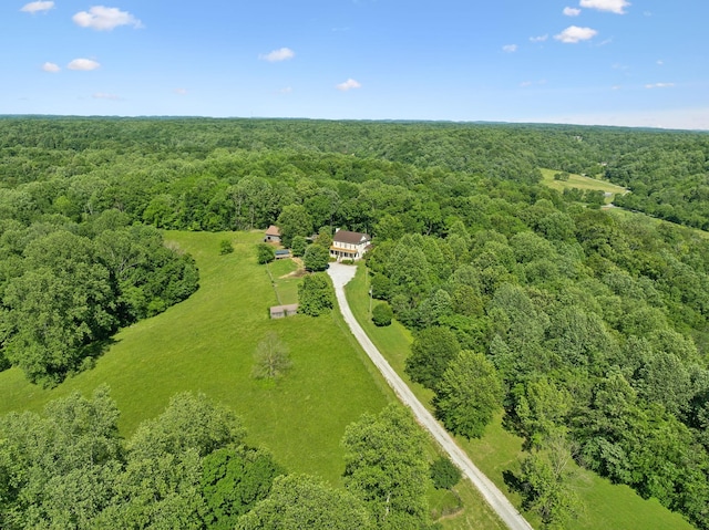6795 Leipers Creek Rd, Columbia, TN 38401 - bird's eye view of a heavily wooded area
