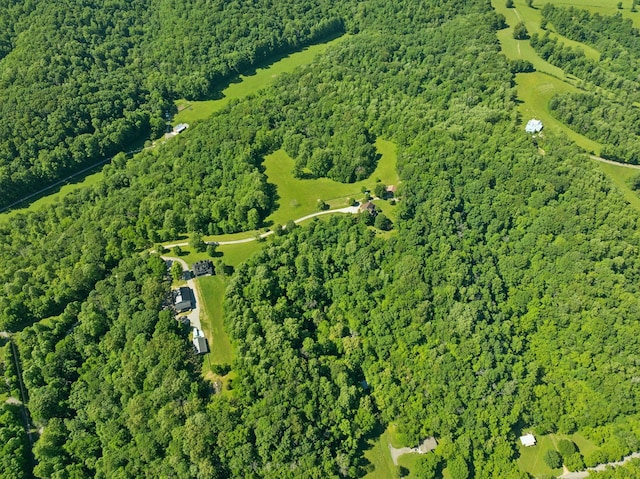 6795 Leipers Creek Rd, Columbia, TN 38401 - aerial view of property and surrounding area featuring a forest