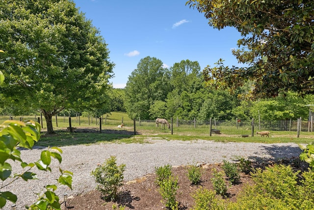 6795 Leipers Creek Rd, Columbia, TN 38401 - view of home's community
