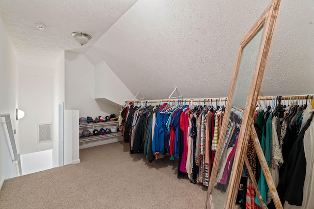 842 Shun Pike, Cottontown, TN 37048 - spacious closet featuring lofted ceiling and carpet flooring