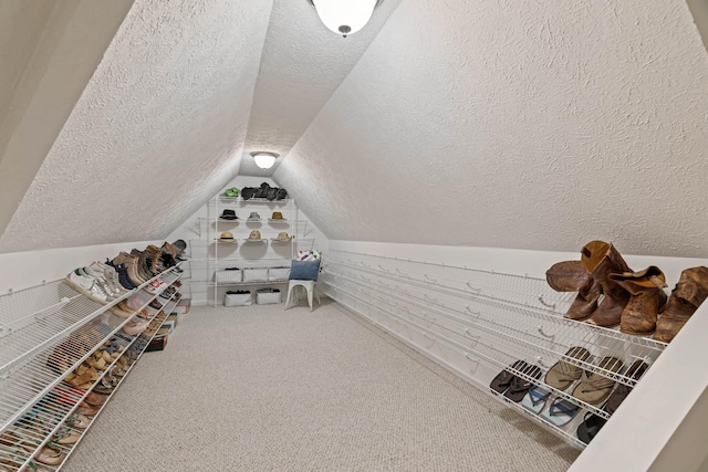 842 Shun Pike, Cottontown, TN 37048 - interior space featuring a textured ceiling, lofted ceiling, and carpet flooring