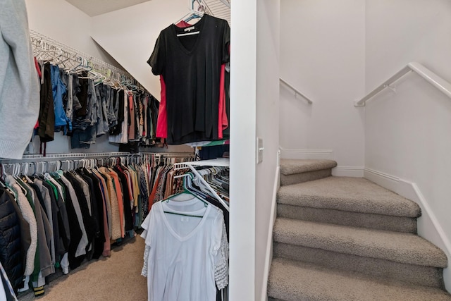 842 Shun Pike, Cottontown, TN 37048 - walk in closet featuring carpet