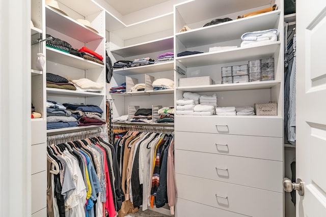 120 Ravens Crest Ave, Mount Juliet, TN 37122 - view of walk in closet