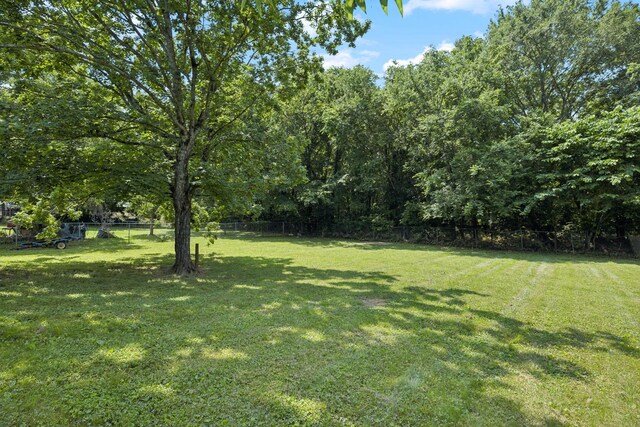 116 Ingles St, La Vergne, TN 37086 - photo 31