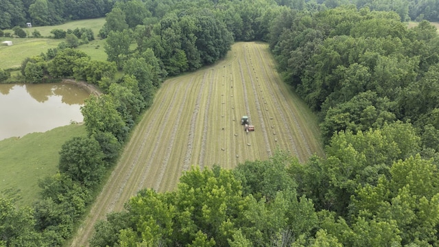 7855 Bethlehem Rd, Springfield, TN 37172