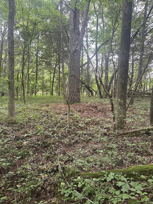 7855 Bethlehem Rd, Springfield, TN 37172