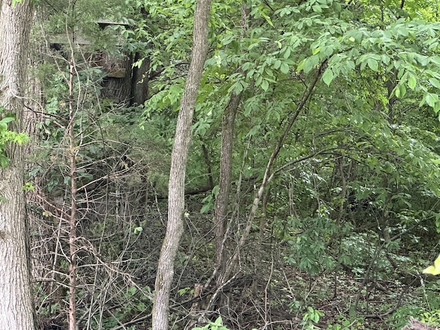 7855 Bethlehem Rd, Springfield, TN 37172