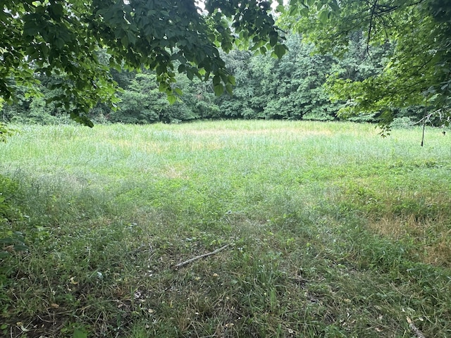 7855 Bethlehem Rd, Springfield, TN 37172