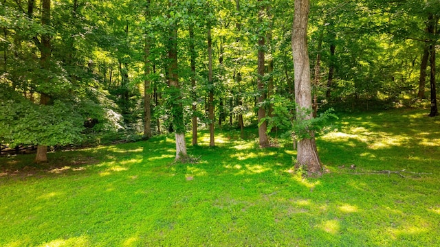407 Hogans Branch Rd, Goodlettsville, TN 37072 - view of green lawn with a view of trees