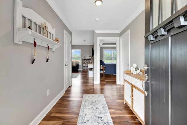 4717 Lunns Store Rd, Chapel Hill, TN 37034 - hall with ornamental molding, baseboards, and dark wood-style floors