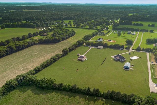 4717 Lunns Store Rd, Chapel Hill, TN 37034 - overview of rural landscape