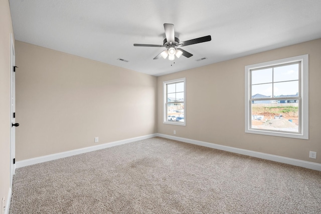 209 Cardinal Crk, Clarksville, TN 37040 - photo 30