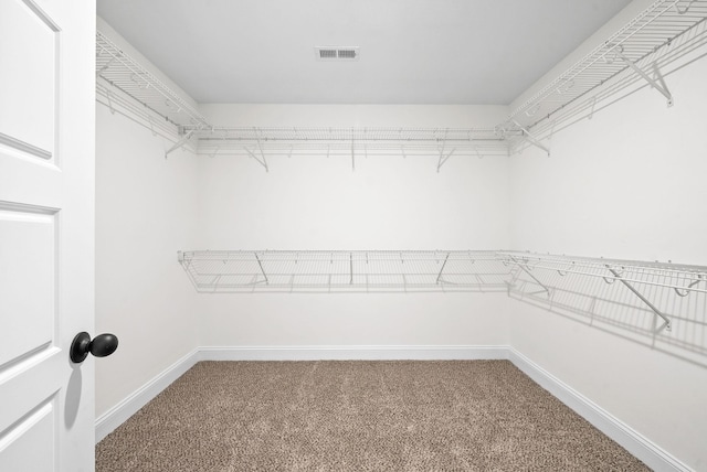 209 Cardinal Crk, Clarksville, TN 37040 - photo 24