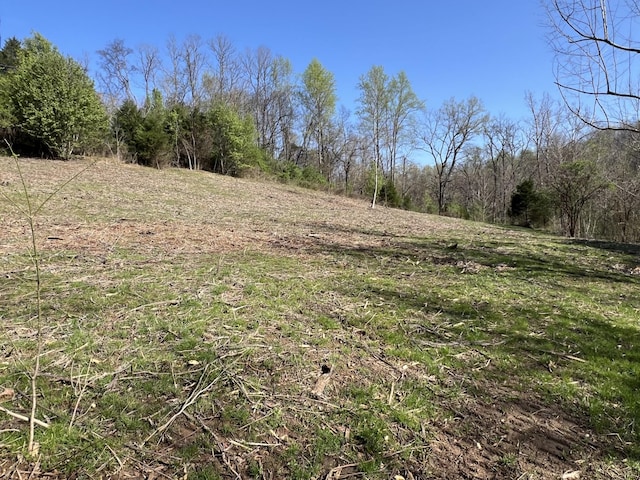 0 Old Lake Rd, Lewisburg, TN 37091 - photo 1