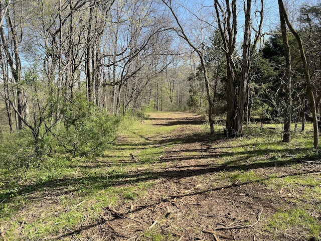 0 Old Lake Rd, Lewisburg, TN 37091 - photo 6