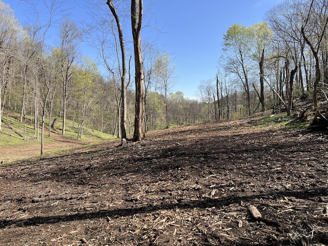 0 Old Lake Rd, Lewisburg, TN 37091 - photo 3