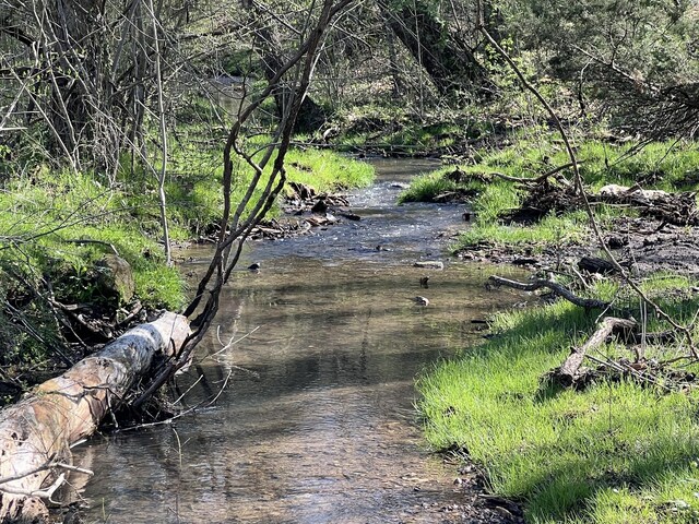 0 Old Lake Rd, Lewisburg, TN 37091 - photo 4