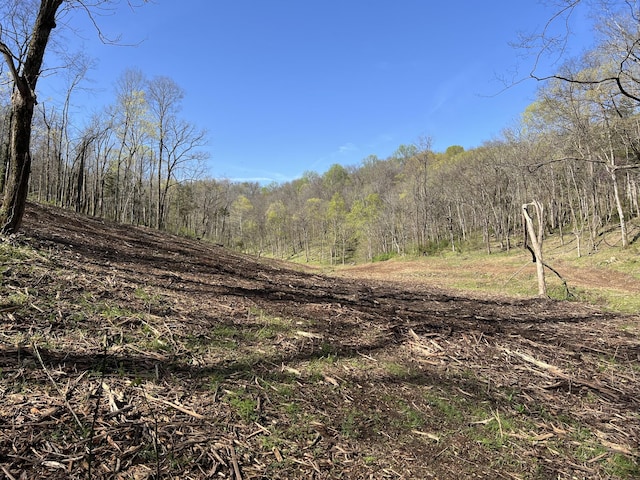 0 Old Lake Rd, Lewisburg, TN 37091 - photo 2