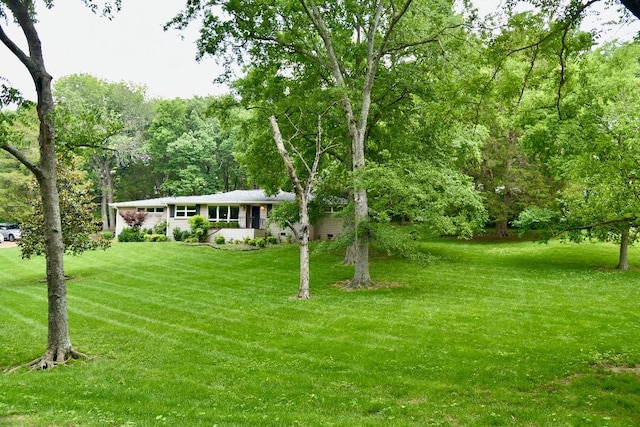 1314 Burton Valley Rd, Nashville, TN 37215 - view of front of home featuring a front lawn and a forest view