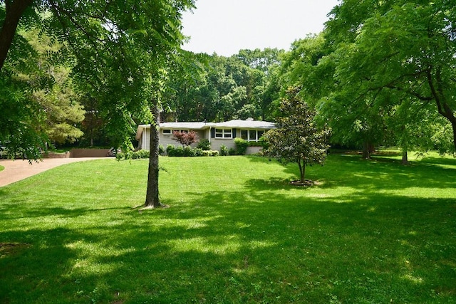 1314 Burton Valley Rd, Nashville, TN 37215 - view of front of house featuring a front lawn and a view of trees