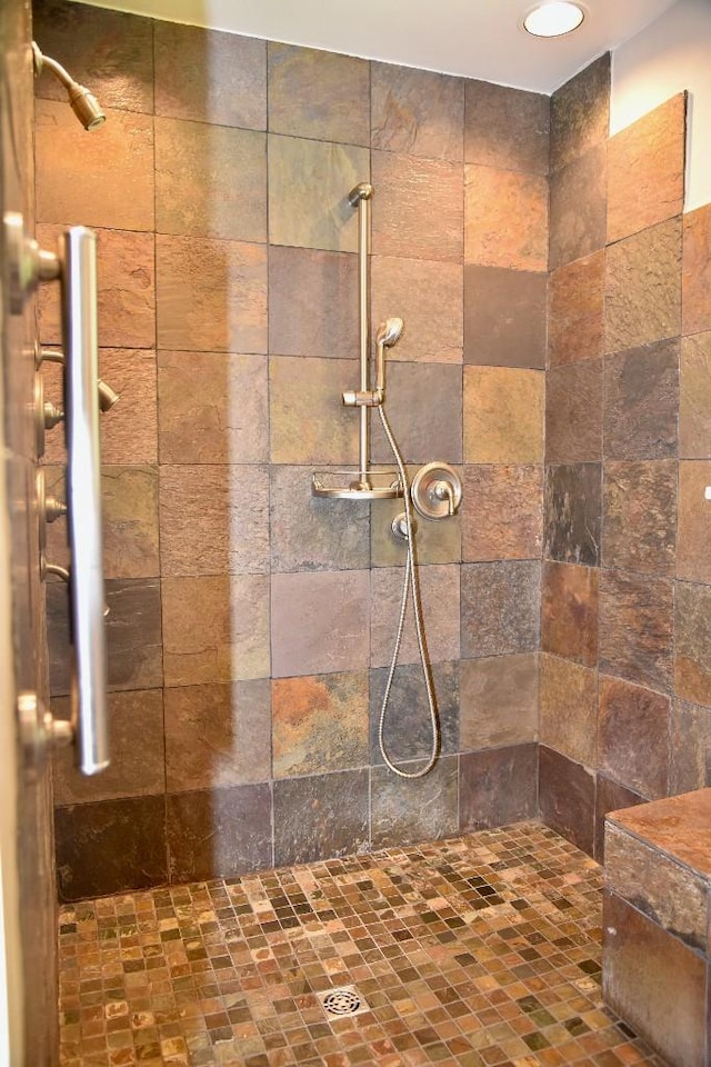 1314 Burton Valley Rd, Nashville, TN 37215 - bathroom with tiled shower