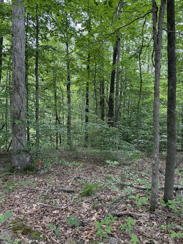 5755 Moore Rd, Franklin, TN 37064