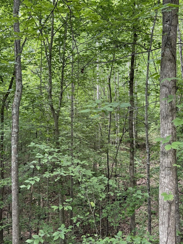 5755 Moore Rd, Franklin, TN 37064